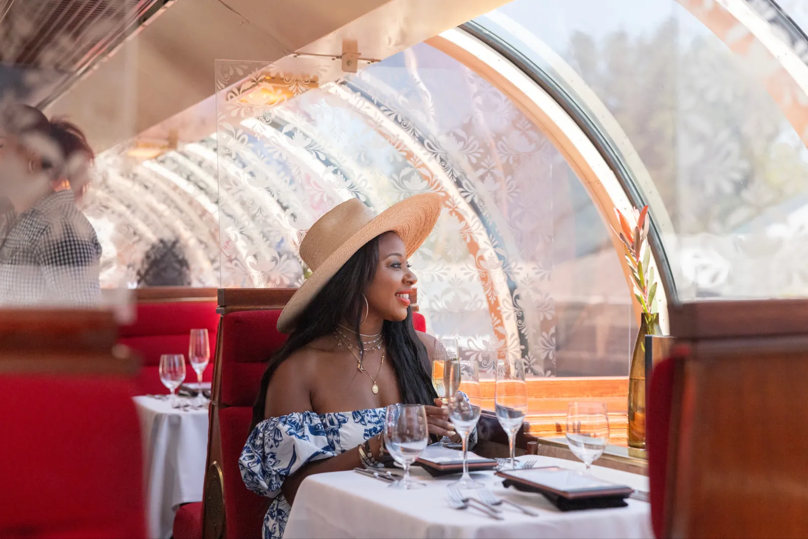 Image of Vista Dome Lunch Train