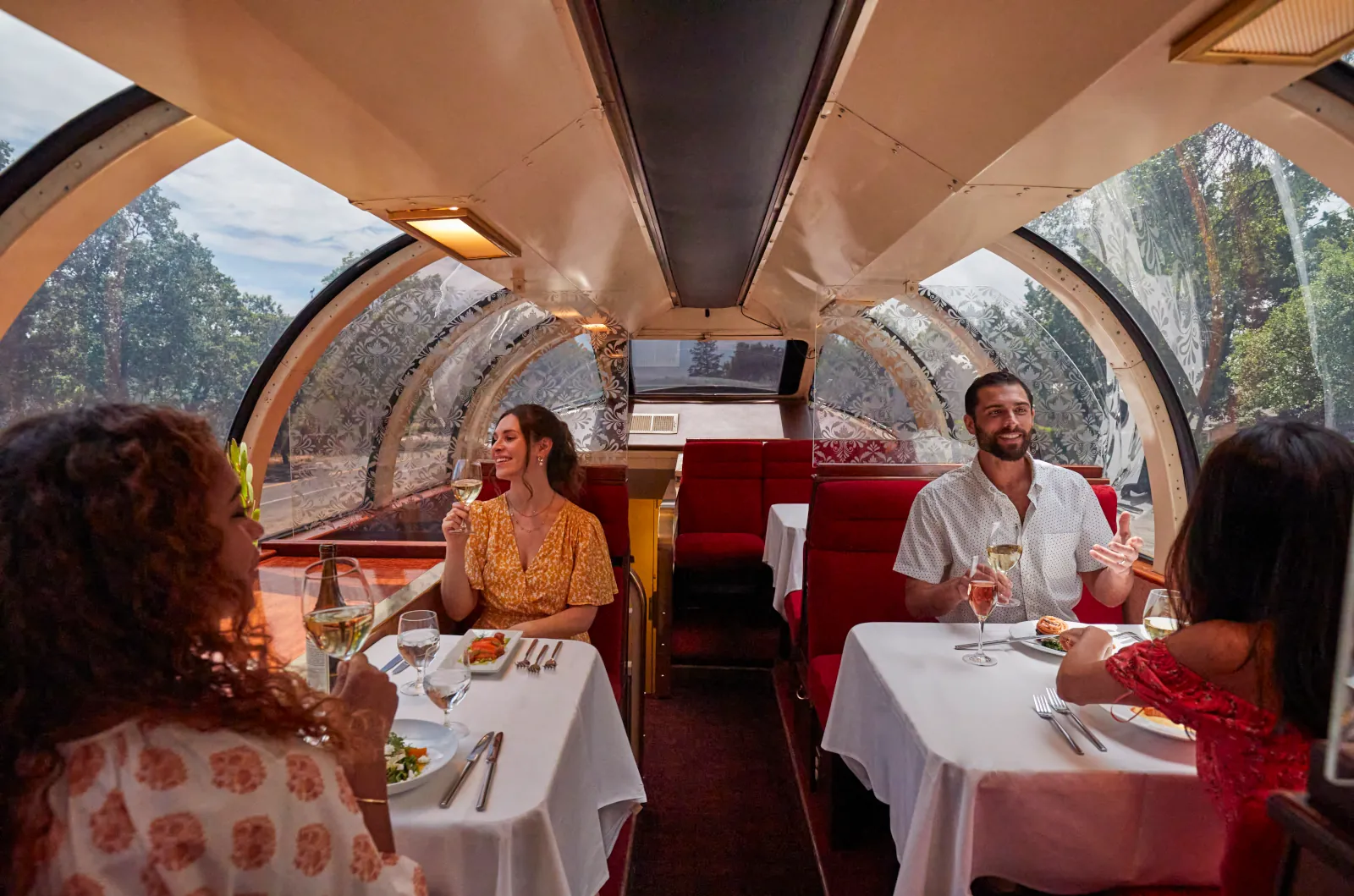 Image of Vista Dome Dinner Train