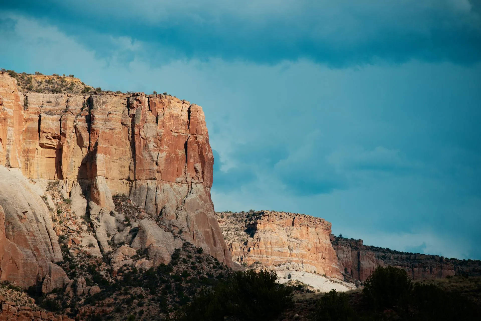 Sonoran Desert
